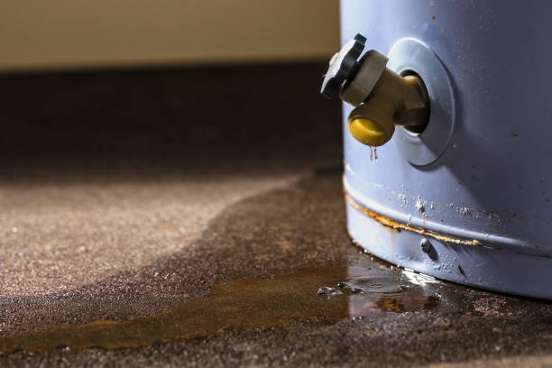 Best Flooded house restoration  in Rocky Point, WA
