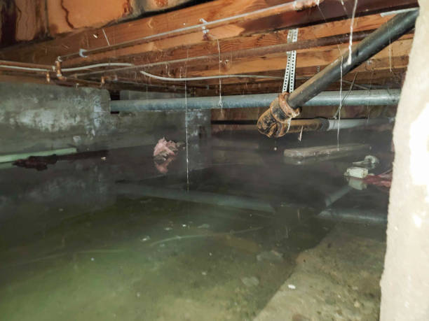 Water damage restoration process in Rocky Point, WA