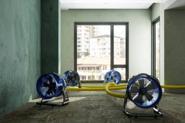 Best Commercial water damage restoration  in Rocky Point, WA